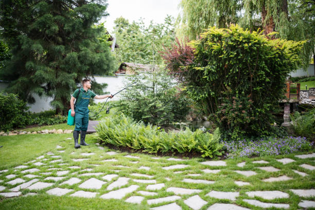 Best Pest Removal Services  in Union Hill Novelty Hill, WA