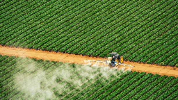 Best Ant Control Services  in Union Hill Novelty Hill, WA